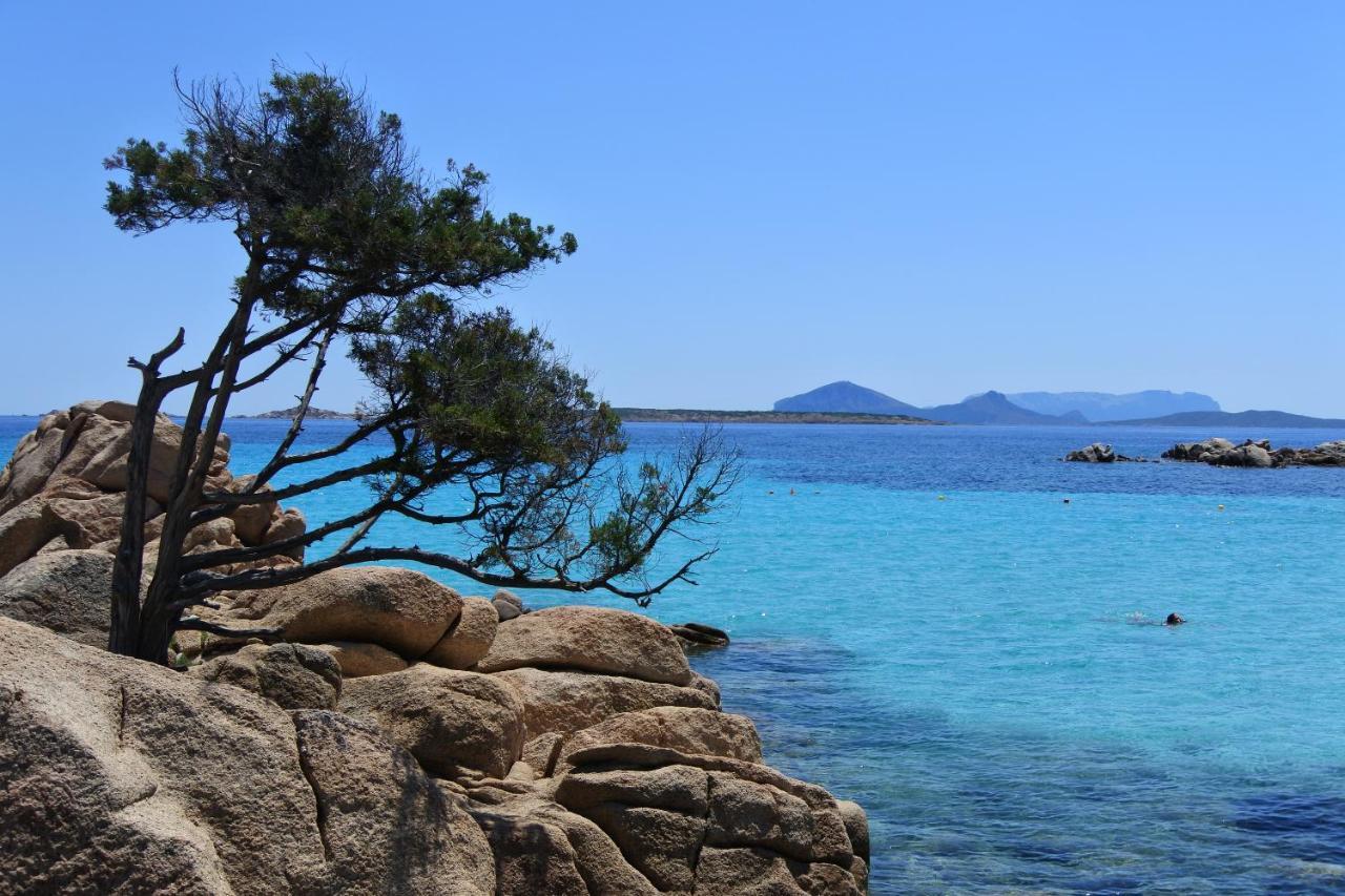 Iknos Guest House Olbia Exterior foto